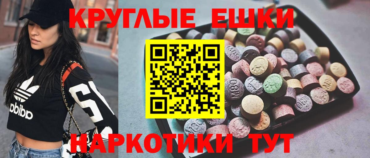 Иваново  Ecstasy Philipp Plein  Ecstasy  Ecstasy XTC  Вход с VPN 