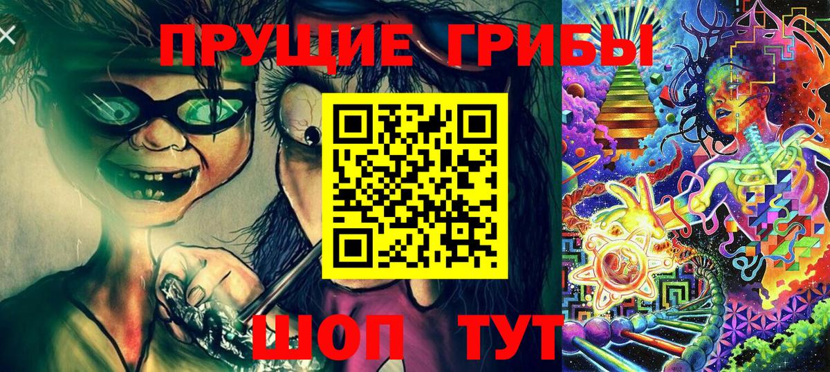 Иваново  Псилоцибиновые грибы Psilocybine cubensis  Вход с VPN  Галлюциногенные грибы мицелий 