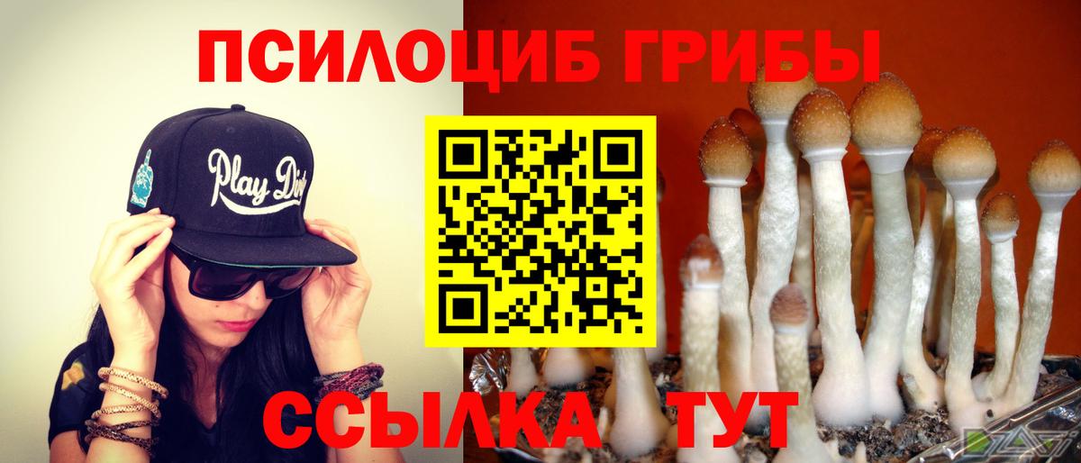 Псилоцибиновые грибы Psilocybine cubensis Иваново